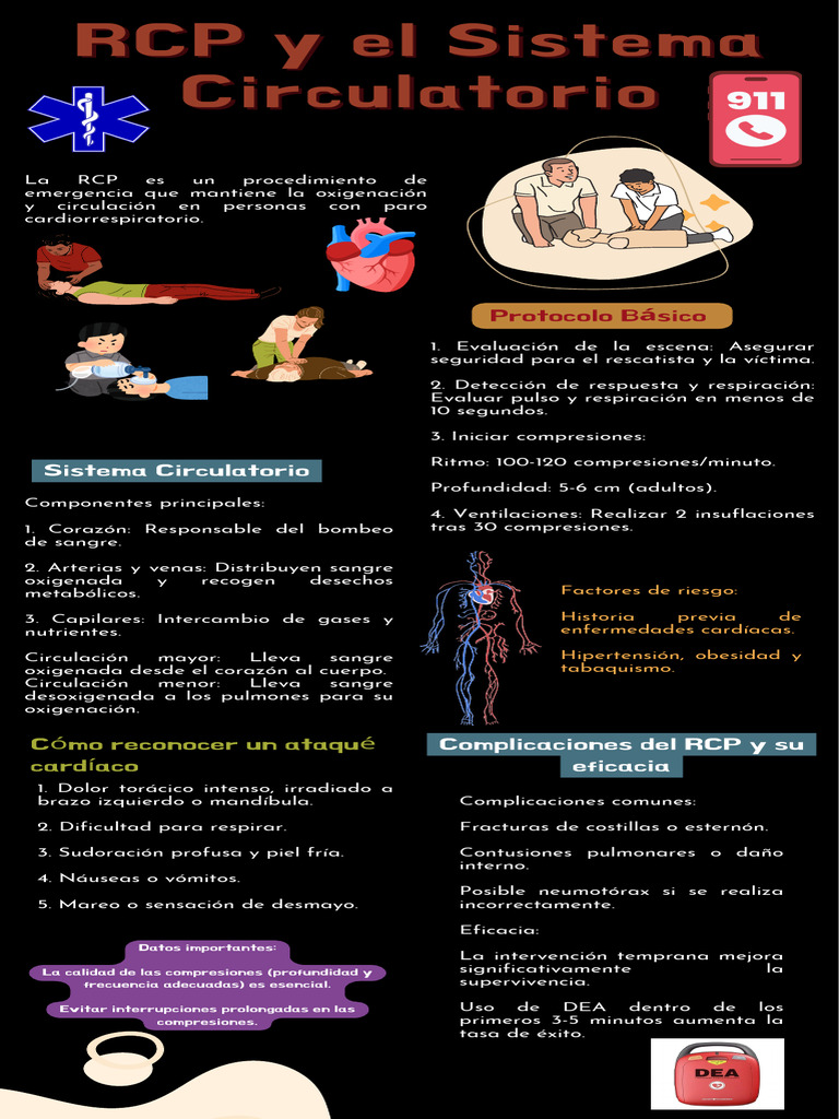RCP y El Sistema Circulatorio | PDF | Reanimación cardiopulmonar ...