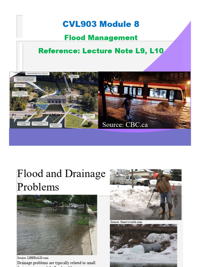 New York Flood Management Strategies | PDF | Flood | Floodplain