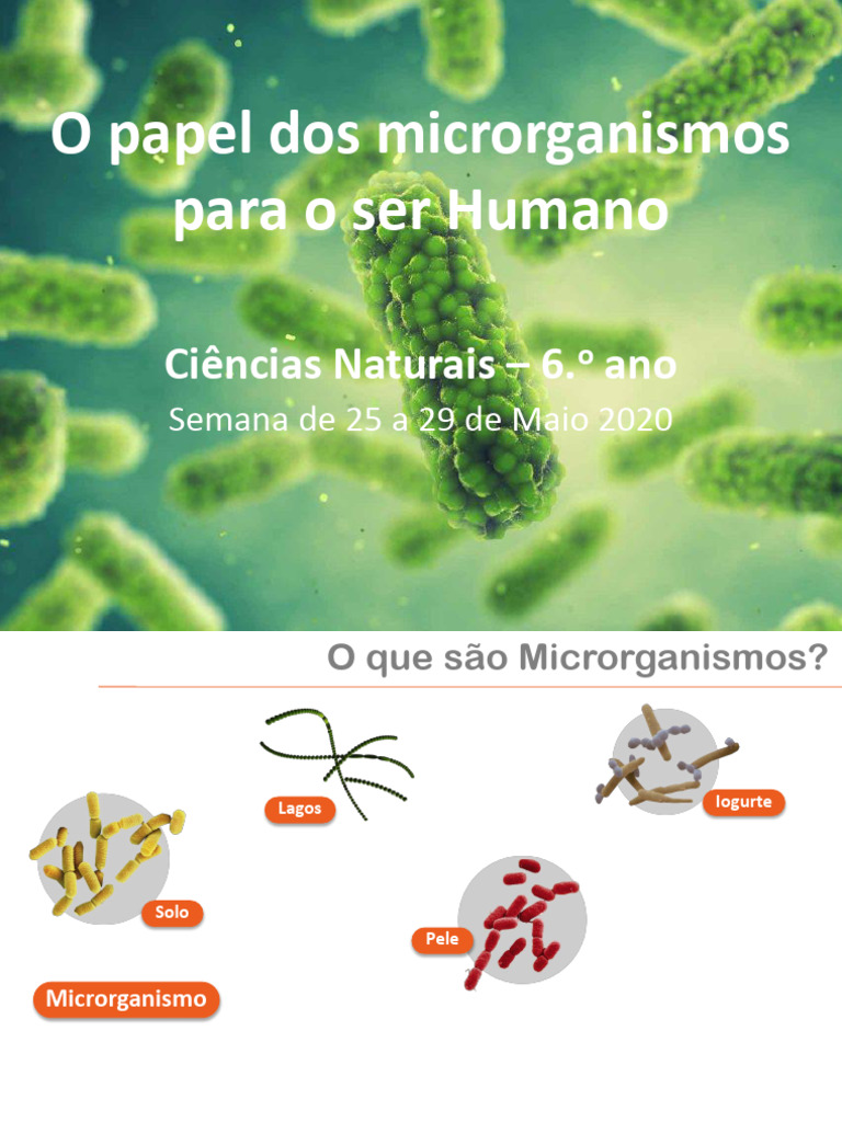 Importância dos Microrganismos para Humanos | PDF | Microrganismo ...