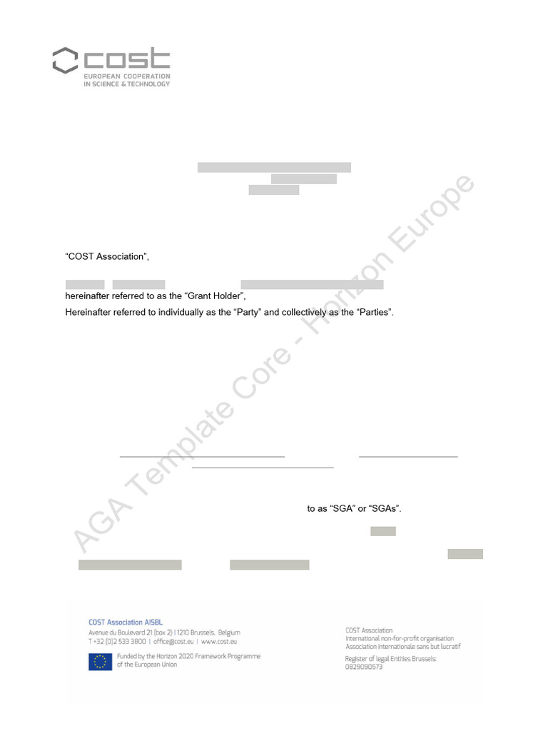 AGA Template Core Horizon Europe 1 | PDF | Expense | Value Added Tax