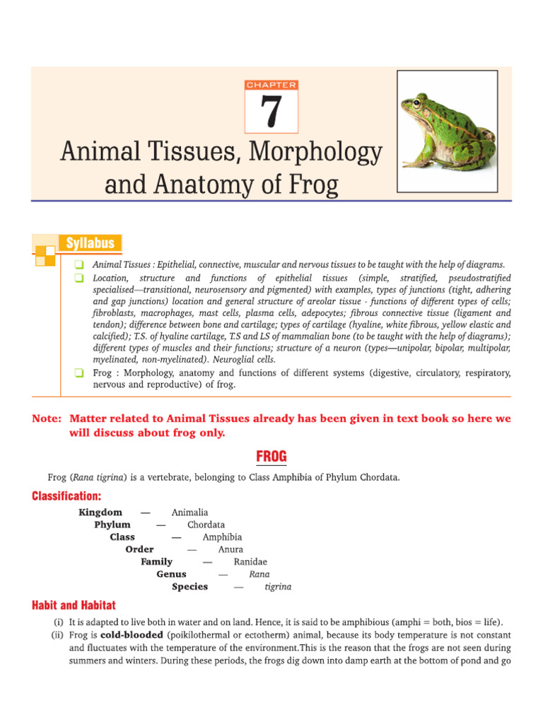 1 23ISCBiology (Frog) | PDF
