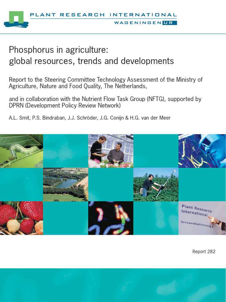 Phosphorus in Agriculture: Global Trends | PDF | Fertilizer | Phosphate