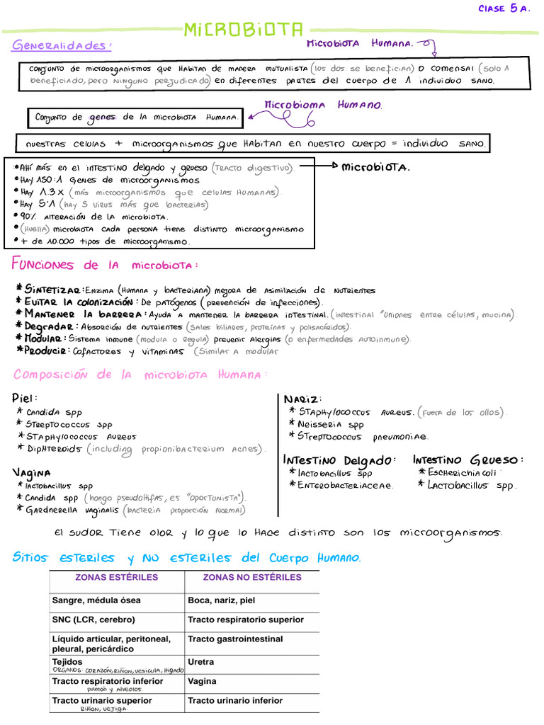 Micro 2 | PDF | Patógeno | Infección