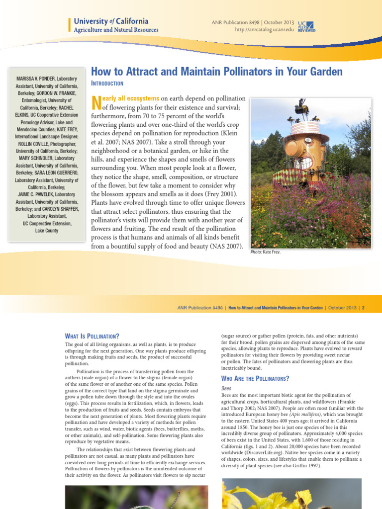 Attracting Pollinators to Your Garden | PDF | Pollinators | Pollination