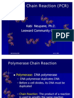 PCR