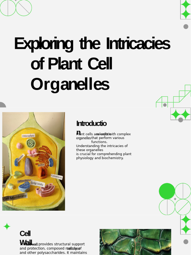 Bio Project | PDF