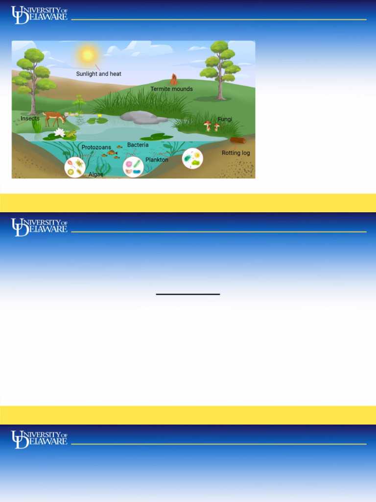 Lesson+7+ +Organisms+and+Ecosystems | PDF | Anthropocene | Geologic ...