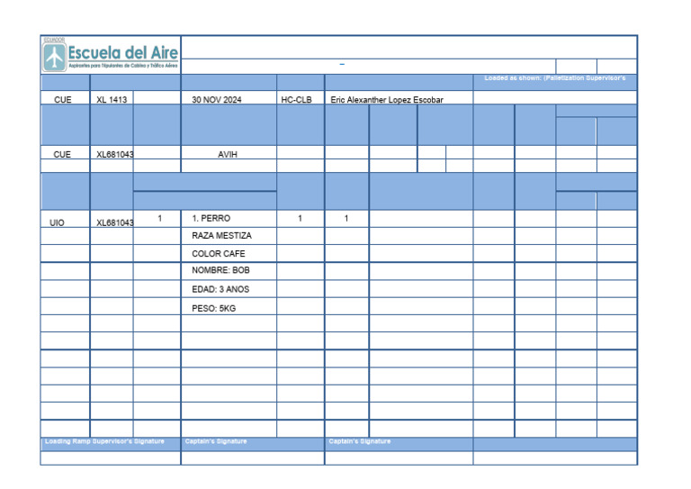 NOTOC for Special Cargo Notification | PDF