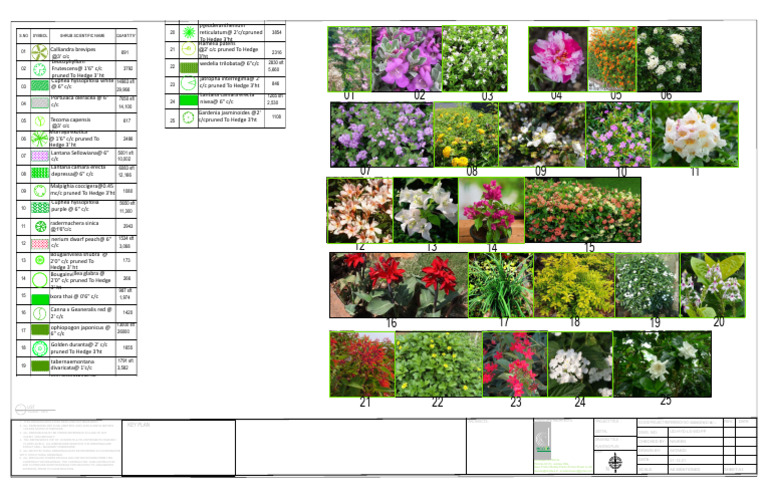 Udityal Avenue Shrub Planting List | PDF | Plants | Garden Plants