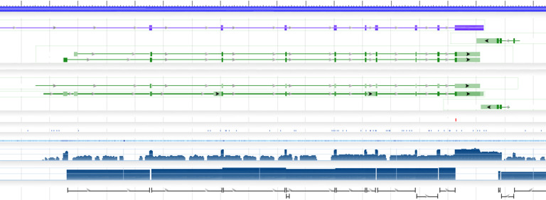 NCBI Homo sapiens Annotation Data | PDF | Biotechnology | Molecular ...