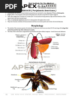 NCERT Cockroach Anatomy Overview | PDF | Anatomy