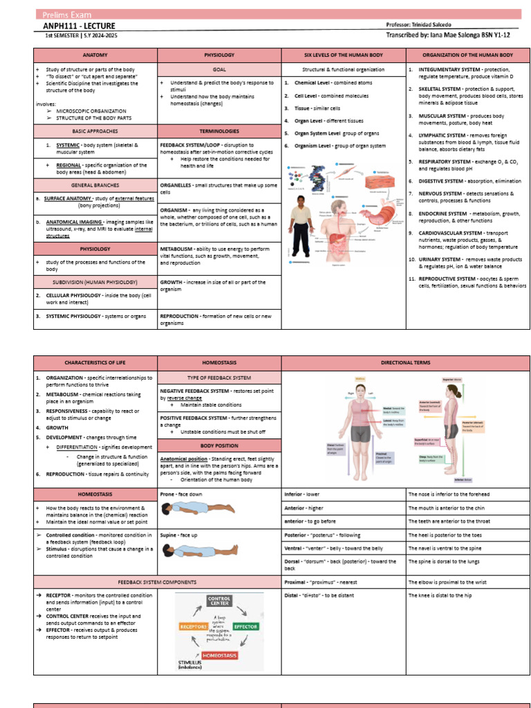 Human Body Anatomy and Physiology Guide | PDF | Cell Membrane | Cell ...