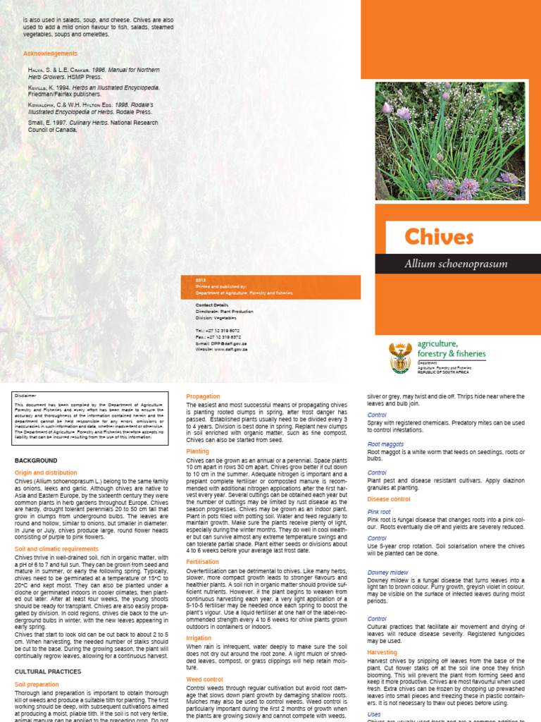 Brochure Chives | PDF | Onion | Mulch
