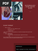 Archer Review Notes | PDF