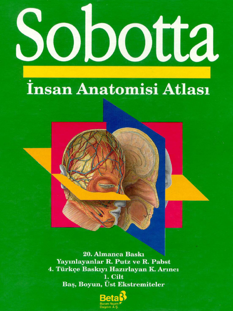 Sobotta - İnsan Anatomisi Atlası (1. Cilt) | PDF | Molluscs | Skeletal ...