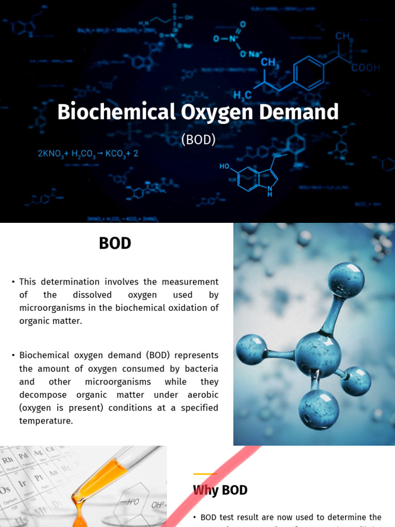 Biochemical Oxygen Demand 1 | PDF