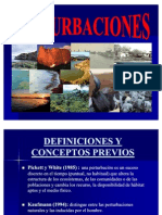 Seminario Perturbacion