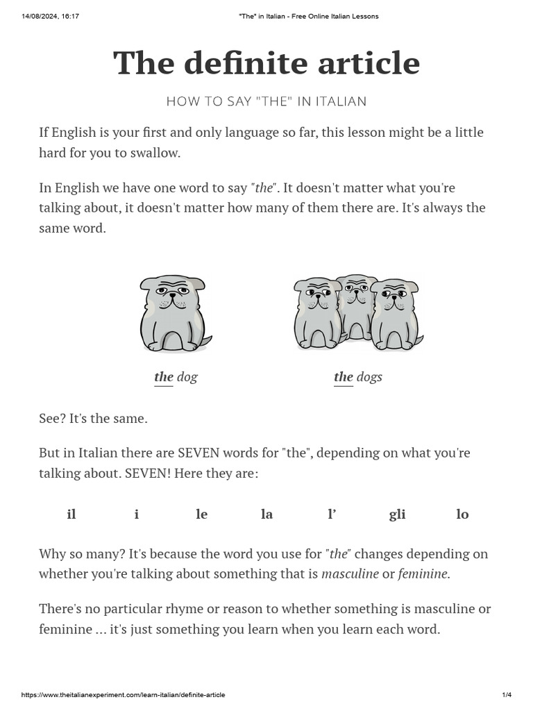 How to Use "The" in Italian | PDF | Grammatical Gender | Plural
