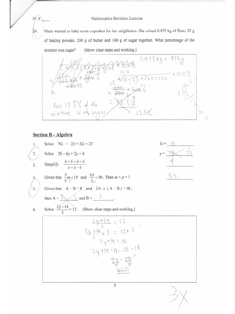 DGJS P6 Maths Rev Ex1 - 3 | PDF
