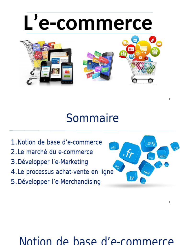 Guide Complet sur l'E-commerce | PDF | Commerce électronique | Nom de ...