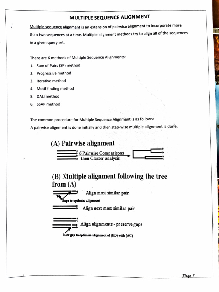 Multiple Sequence Alignment Methods | PDF | Sequence Alignment | Biology