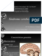 Seminario Sindrome Cerebeloso