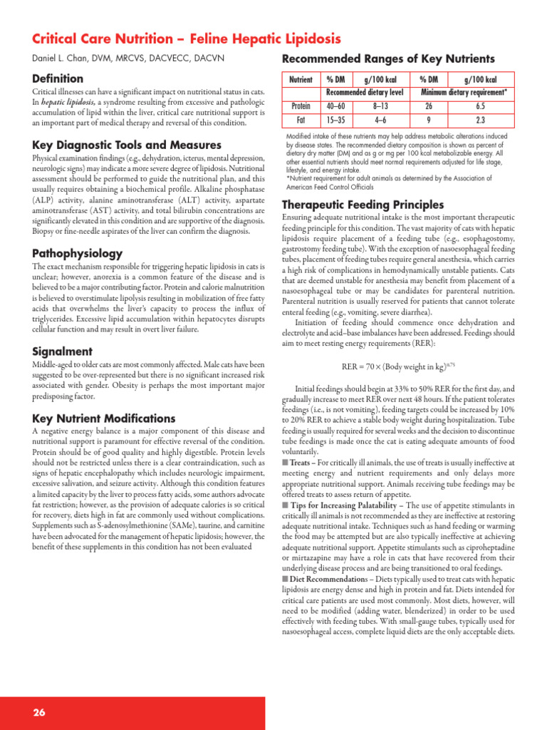 A closer look at Nutritional Management Of Feline Myelofibrosis