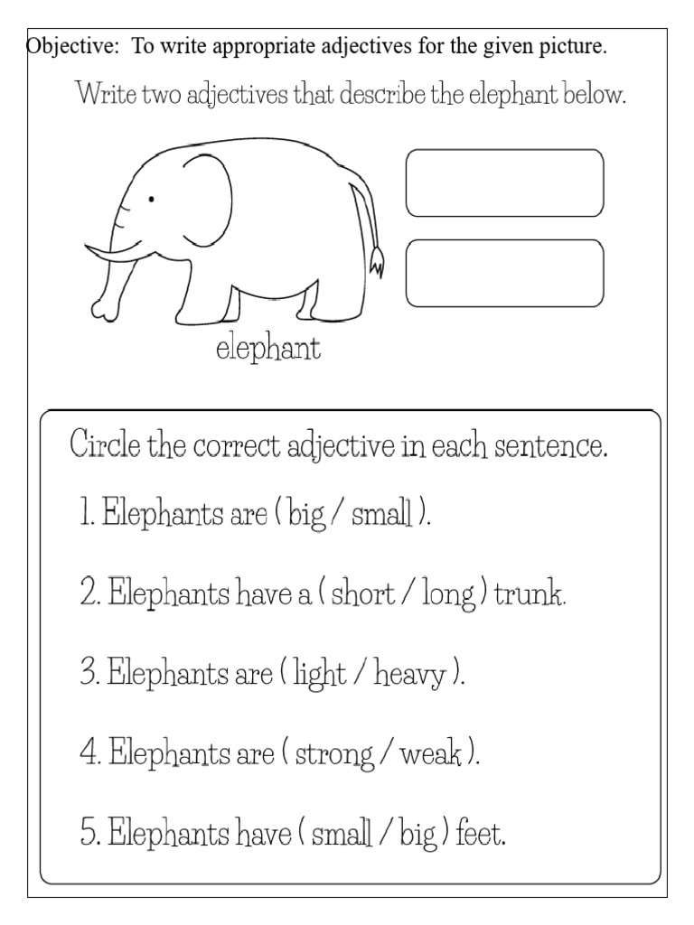 Write 50 Adjectives