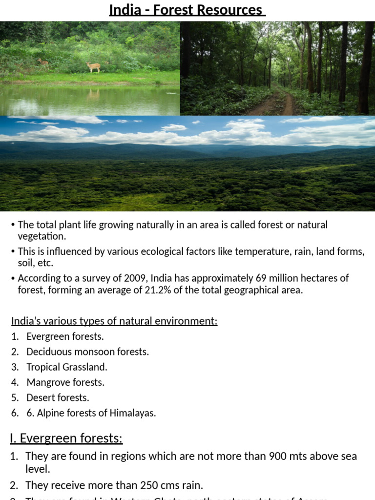 Types of Forests in India Explained | PDF | Forests | Environmental ...