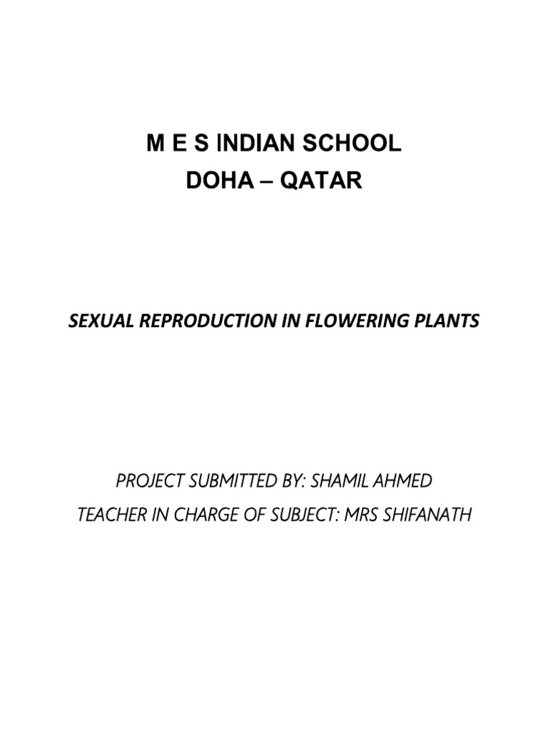 Bio Project | PDF