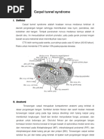 Download Carpal Tunnel Syndrome by angelia0808 SN80473248 doc pdf