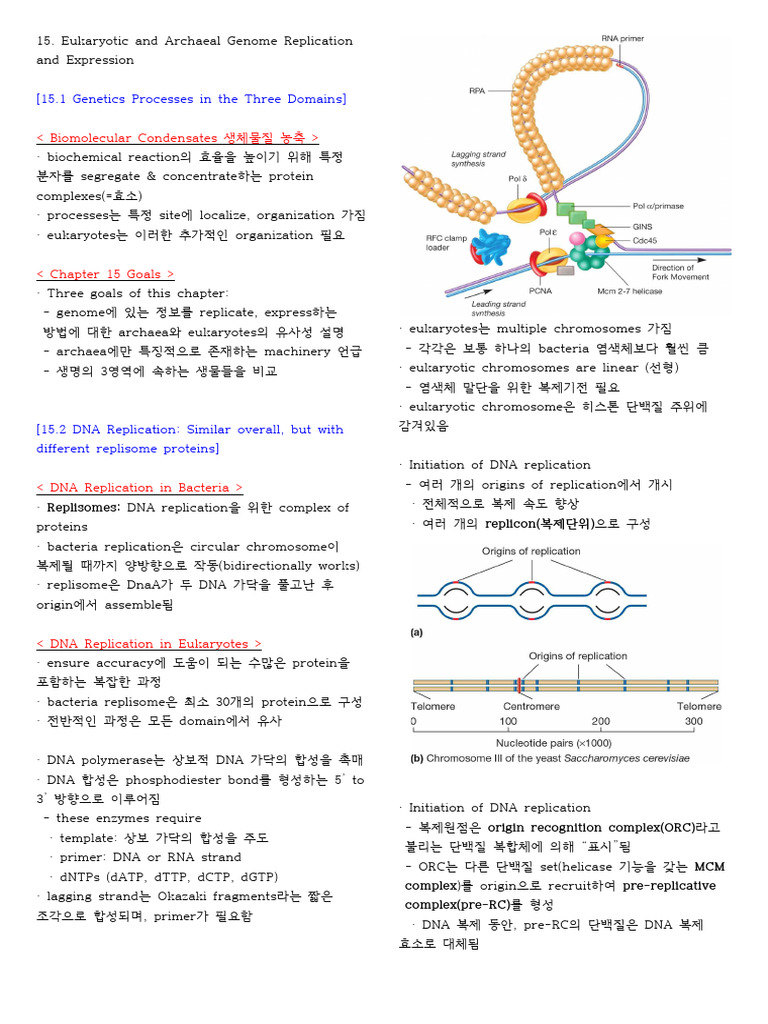 미생물학 15강 정리 | PDF