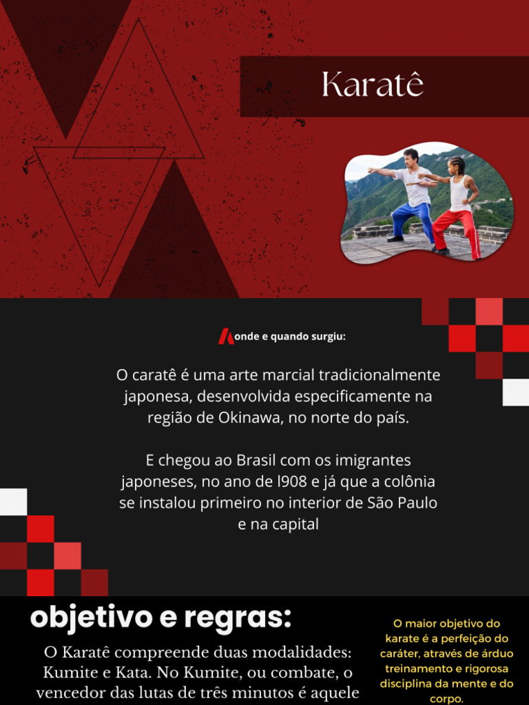 Karatê 20240507 192457 0000 | PDF