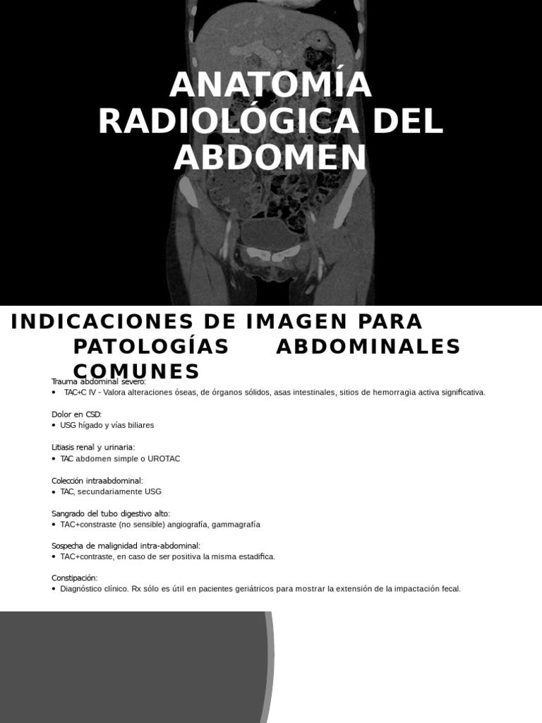 Us Abdomen Final | PDF