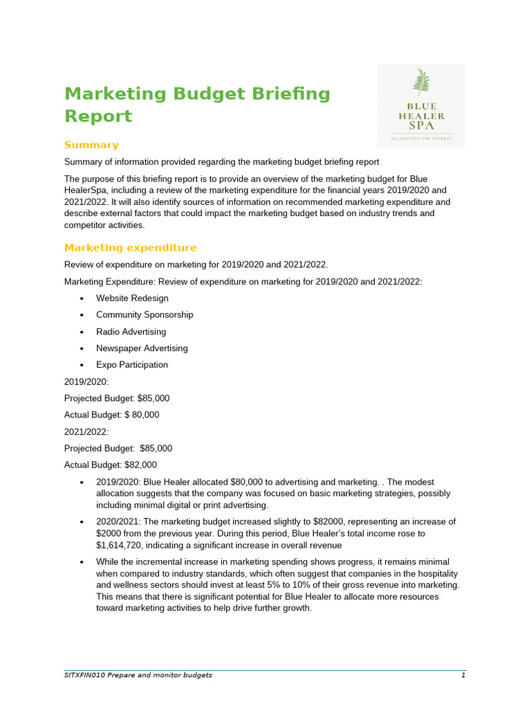 Blue HealerSpa Marketing Budget Overview | PDF | Digital Marketing ...