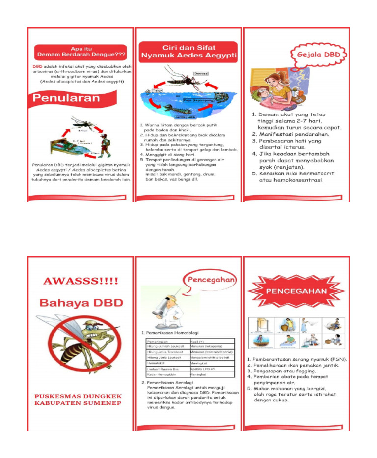 Leaflet DBD | PDF