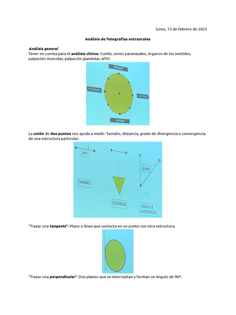 Análisis del Stomion Superior e Inferior | PDF | Diente | Anatomia dental