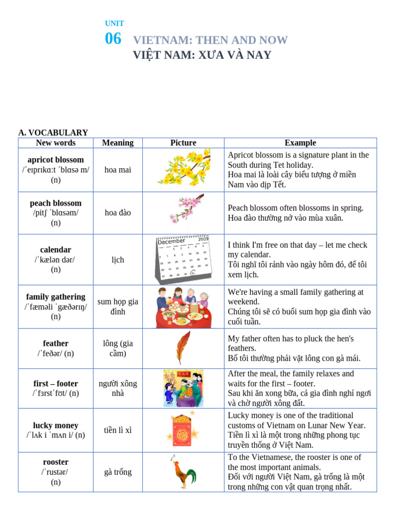 Vocabulary and Grammar Guide: Vietnam | PDF | Vietnam