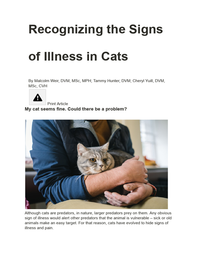 CAT PROBLEMS PDF visual data 4