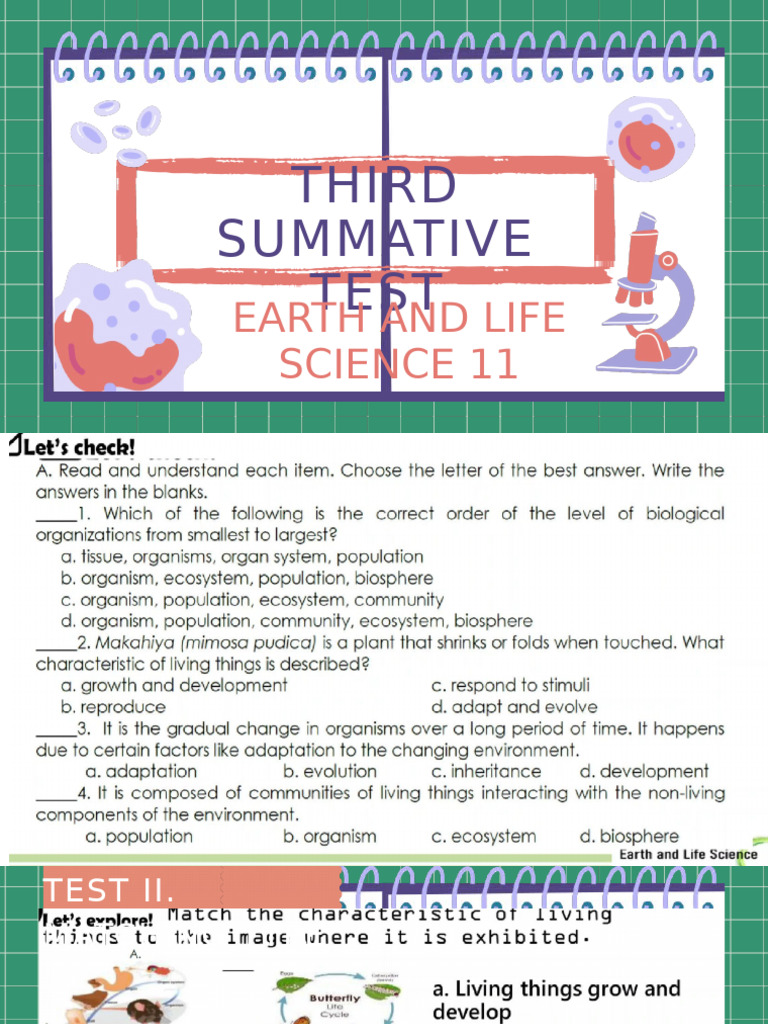 Third Summative Test Pdf