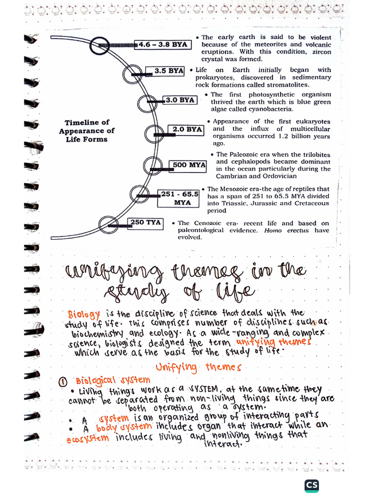 EARTH AND LIFE SCIENCE Q2 Notes | PDF