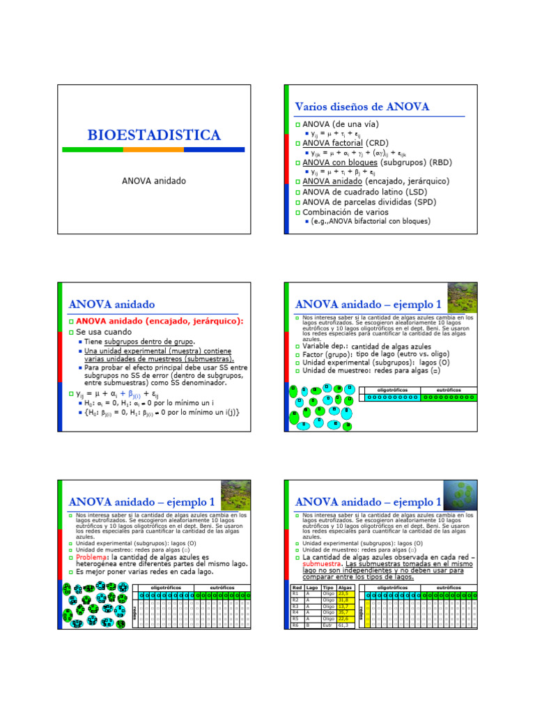 ANOVA Anidado: Ejemplos y Cálculos | PDF | Análisis de variación ...