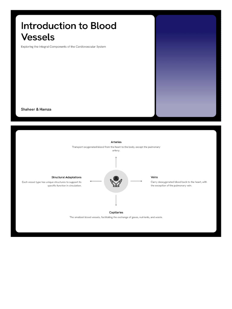 Blood Vessels Presentation Pdf