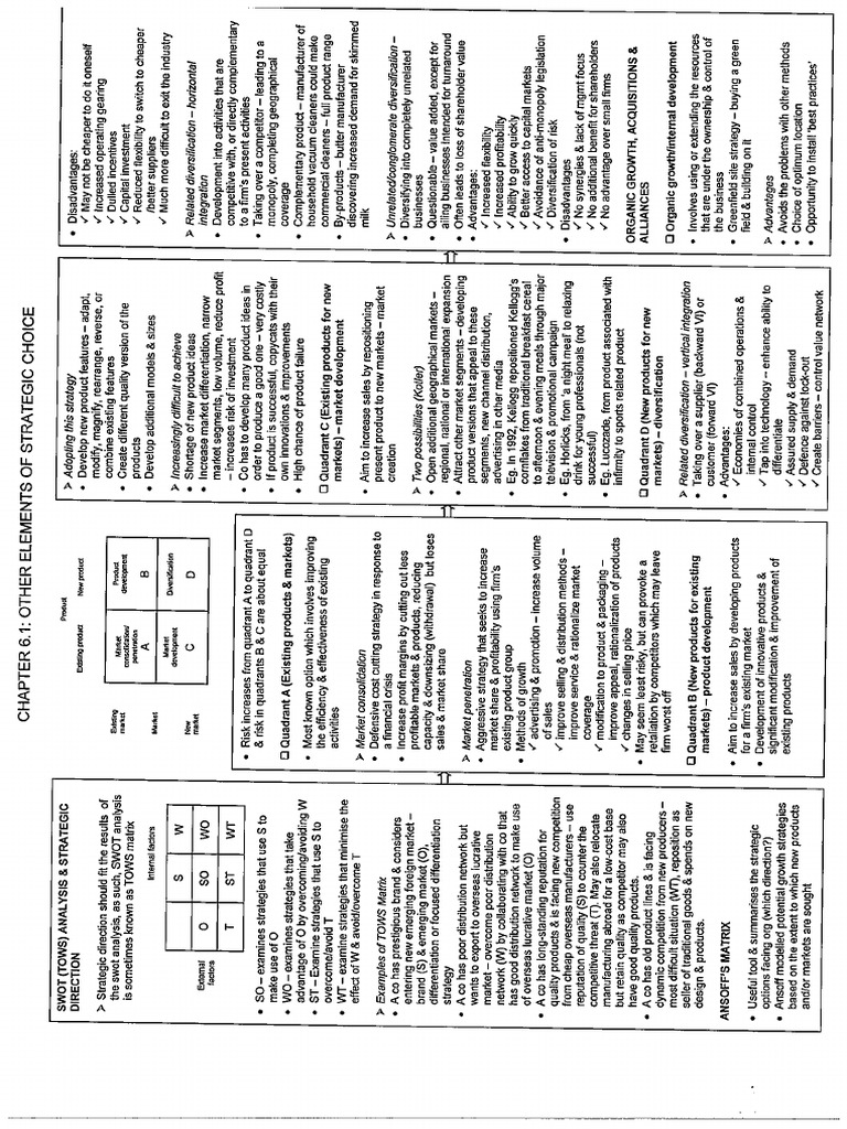 P3 Notes - Other Elements of Strategic Choice | PDF