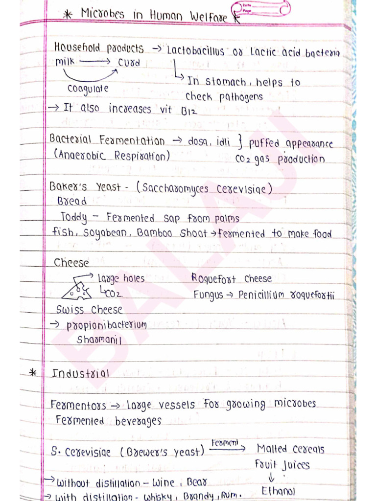 Microbes in Human Welfare Notes | PDF