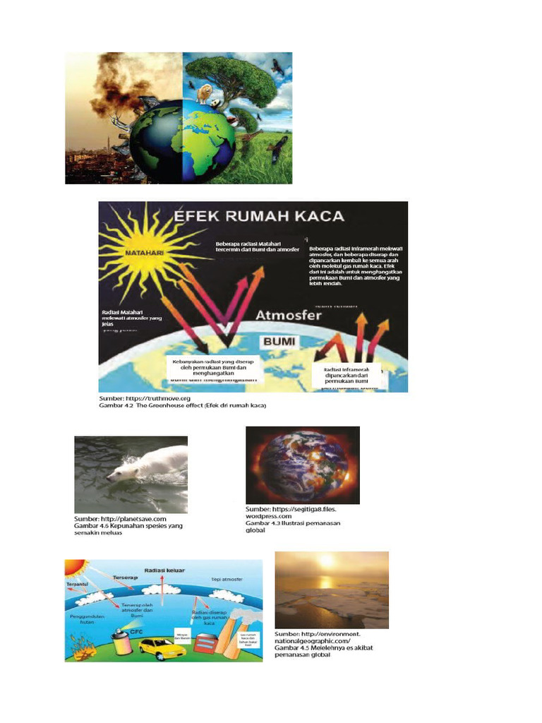 GMBR Ipa | PDF