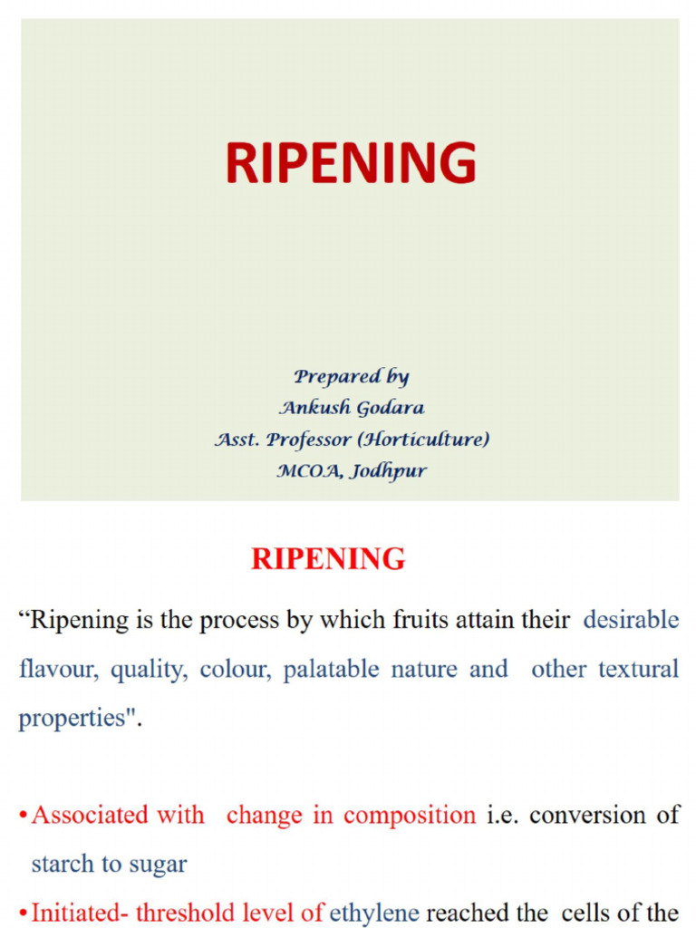 Lecture 3.2 Ripening | PDF