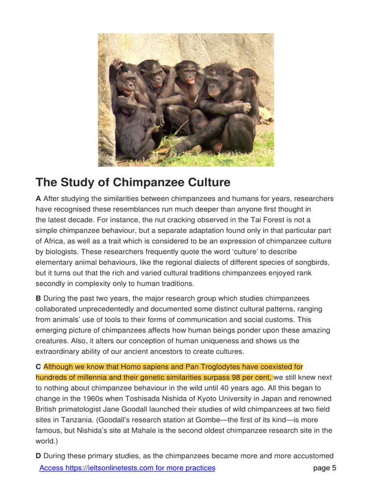 Qualitative vs Quantitative Research: What’s the Difference? visual data 3