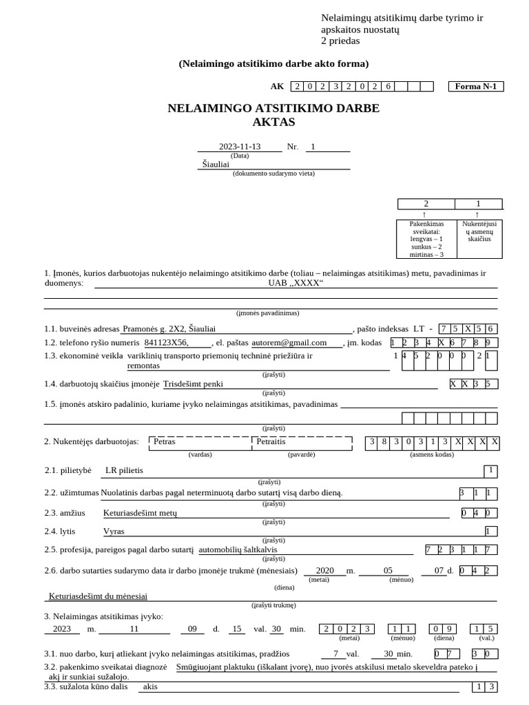N-1 Forma | PDF