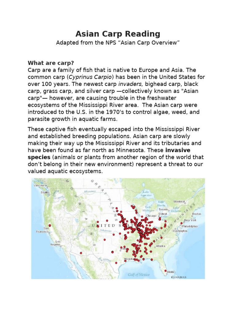 Asian Carp Reading | PDF | Invasive Species | Ecosystem